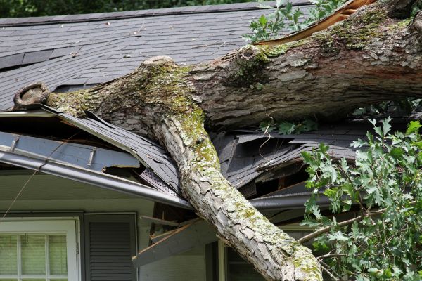 Storm Remediation in Moreno Valley