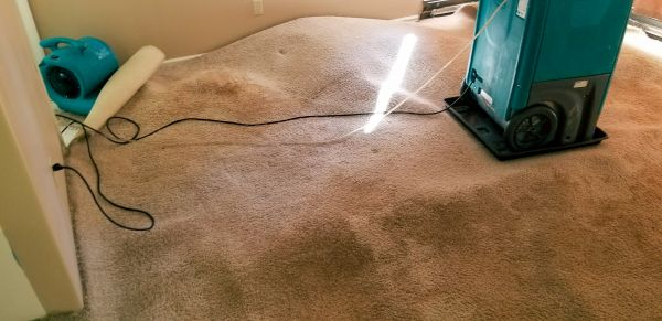 Cost of Carpet Water Extraction in Moreno Valley