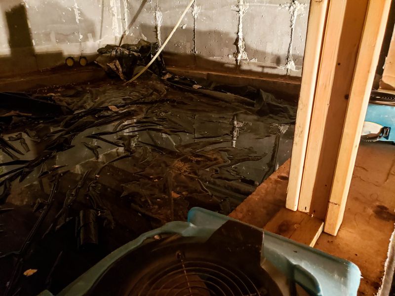 Basement Water Extraction