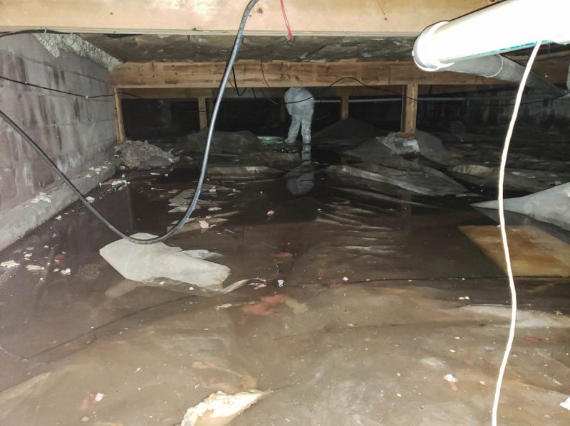 Water Extraction Service detail