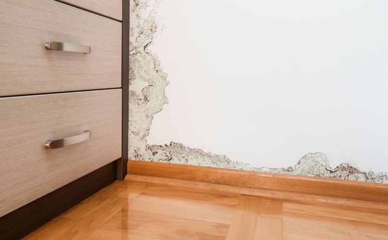 Water Damage Repair