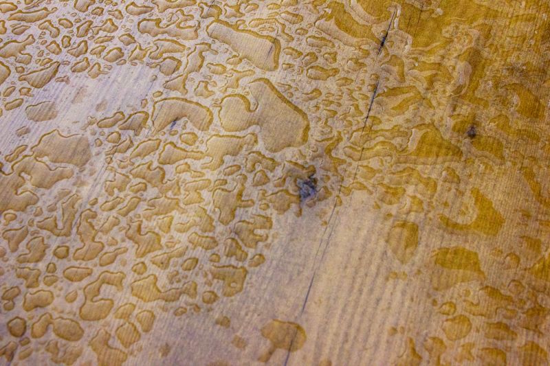 Water Damage Repair