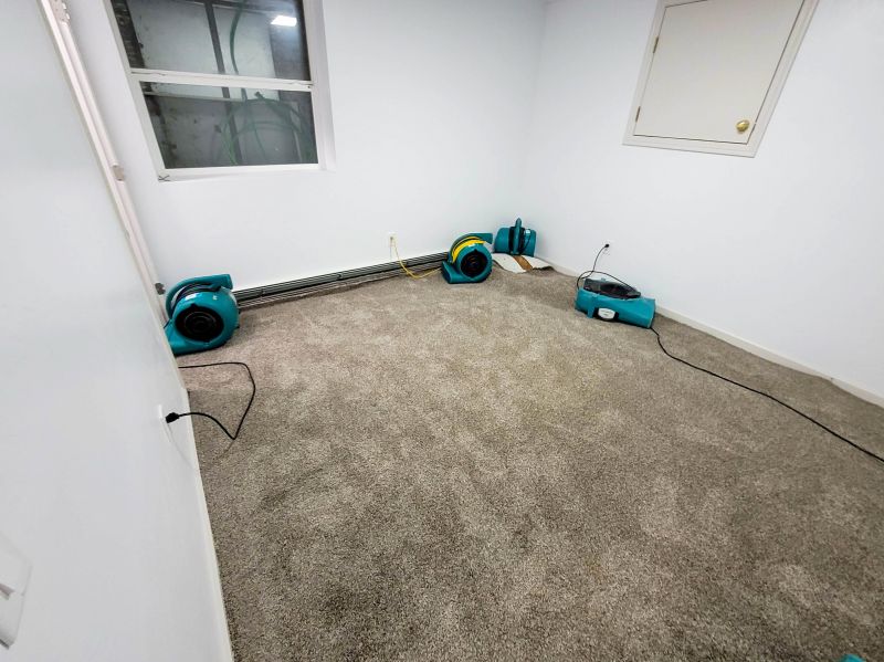 Wet Carpet Drying