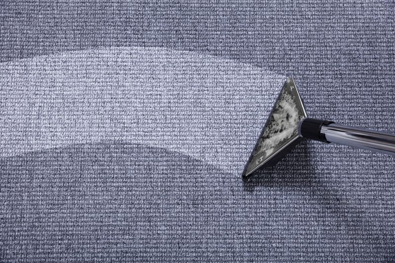 Wet Carpet Drying