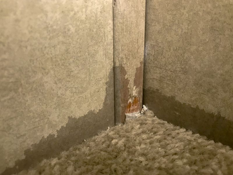 Wet Carpet Drying